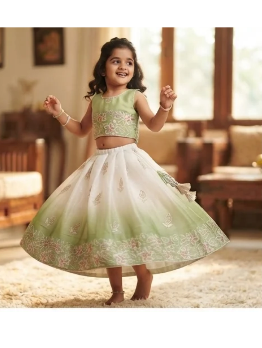 Elegant Light Green and White Ombré Lehenga Choli Set with Floral Embroidery