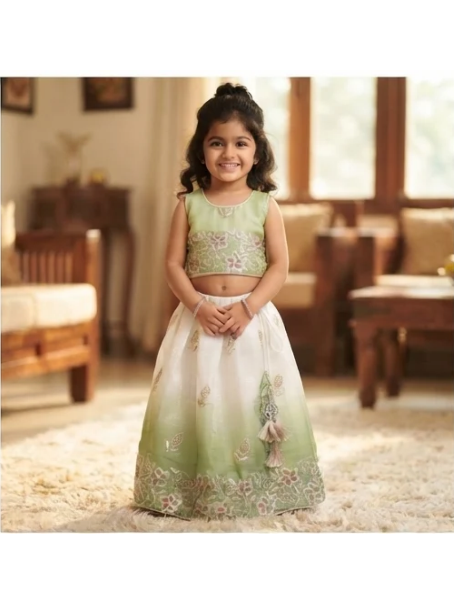 Elegant Light Green and White Ombré Lehenga Choli Set with Floral Embroidery