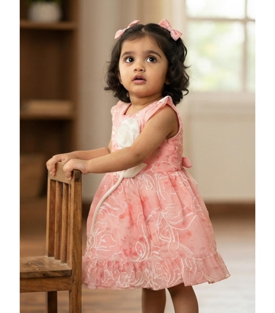 Pink Floral Embroidered Organza Dress for Toddlers