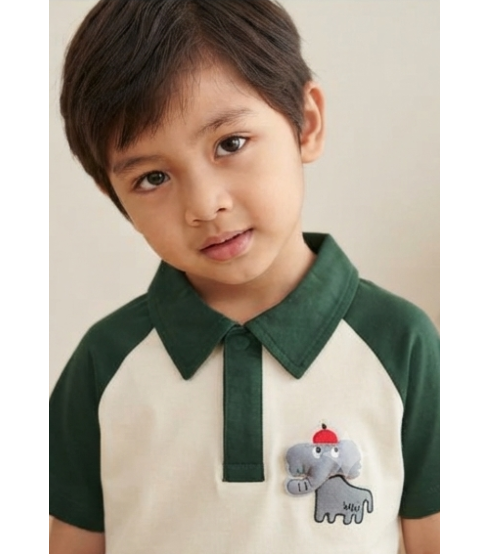 Forest Green & Cream Color block Polo Tee